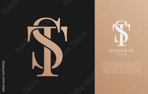Obraz minimalist ST or TS initial letter vintage brand and logo