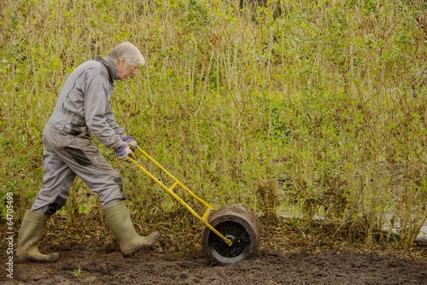 Obraz Rolowanie trawnika