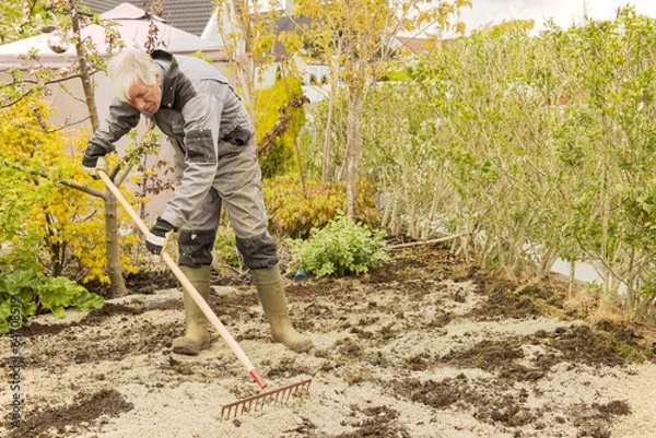 Obraz Gardener raking soil