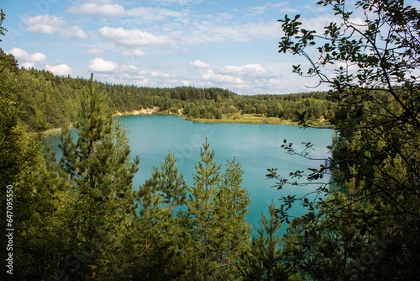 Obraz Blue lake in a pine forest