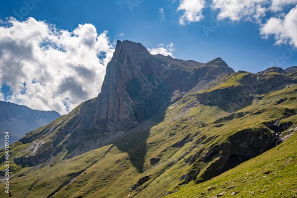 Fototapeta Schwarzer Schopf Berner Oberland Susegg Saustal 