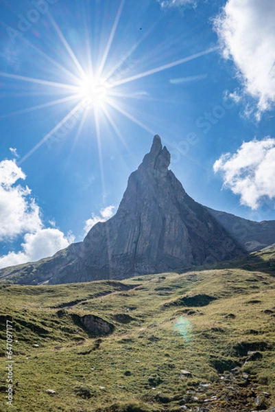 Fototapeta Schwarzer Schopf Berner Oberland Sommer Wanderung Lobhörner, Sulwald 