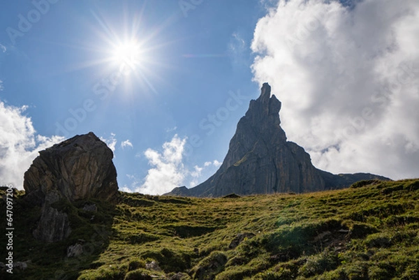 Fototapeta Schwarzer Schopf Berner Oberland Sommer Wanderung Lobhörner, Sulwald 