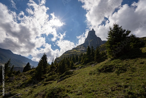 Fototapeta Schwarzer Schopf Berner Oberland Sommer Wanderung Lobhörner, Sulwald 