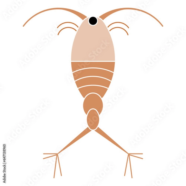 Obraz Copepod