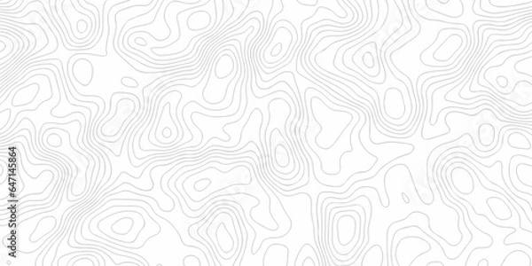 Fototapeta Background lines Topographic map. Geographic mountain relief. Abstract lines background. Contour maps. Vector illustration, Topo contour map on white background, Topographic contour lines.