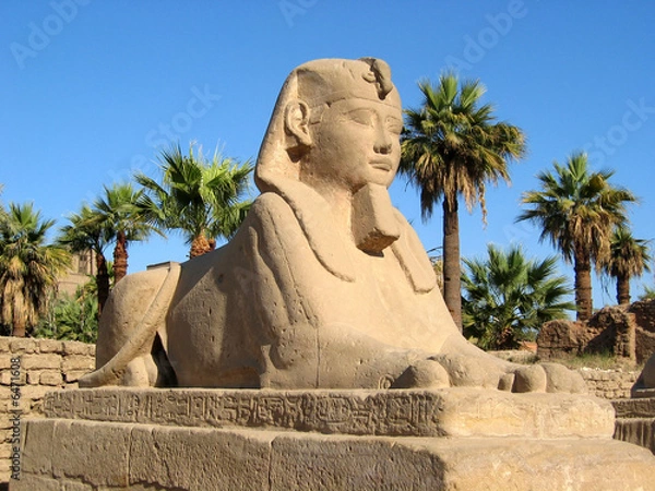 Fototapeta sphinx egypte