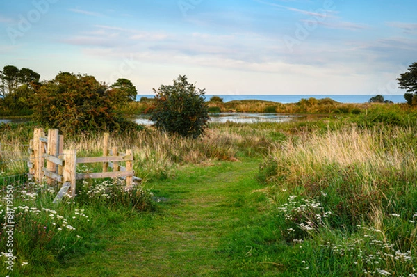 Fototapeta The North Sea by Embleton Quarry Nature Reserve, a former whinstone quarry the new reserve is a tribute to the local community in the coastal village of Embleton who developed the site