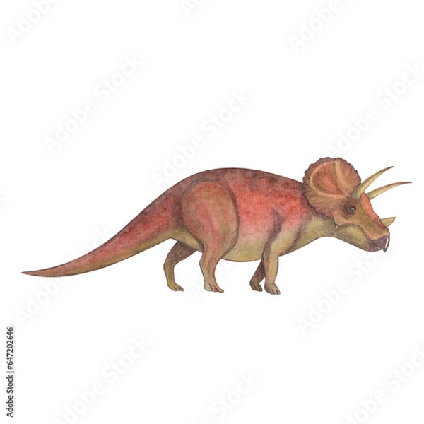 Fototapeta Triceratops. Dinosaur. Watercolor illustration isolated on a white background. Hand drawn
