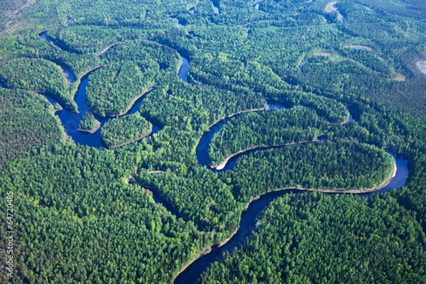 Fototapeta Top view on forest river