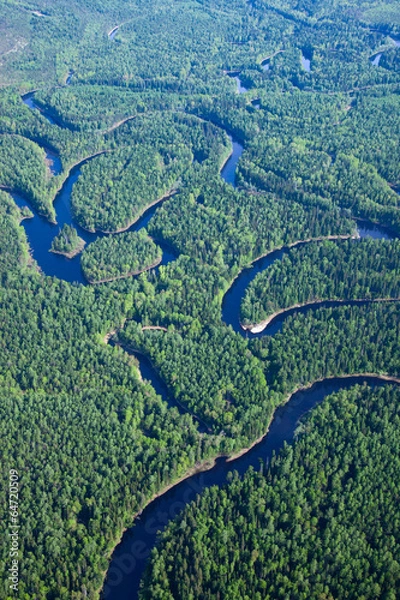 Fototapeta Top view on forest river