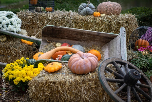 Obraz Décoration de citrouilles