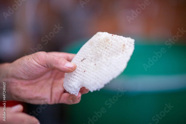 Obraz Nids d'abeilles