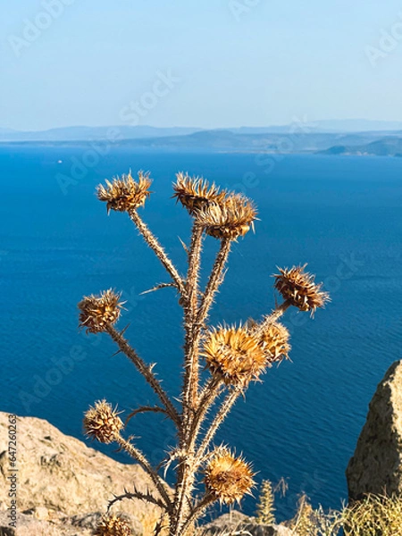 Fototapeta Ancient columns of Athena Temple, Assos, Canakkale, Turkey , The Temple of Athena in the archaeological site of ancient Assos in Behramkale, Turkey