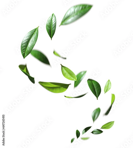 Fototapeta Greenery leaves flying swirl movement cutout transparent backgrounds 3d rendering png