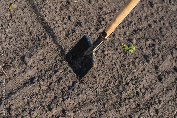 Fototapeta toil work of ground. spade insert soil