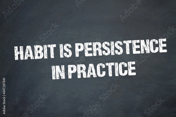 Obraz habit is persistence in practice	
