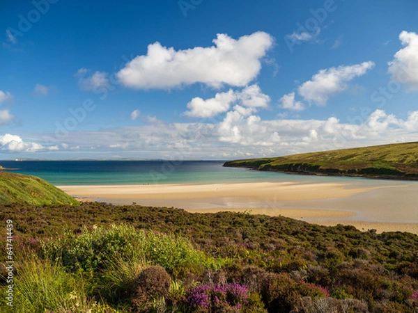 Fototapeta View over Waulkmill Bay, Orkney, Scotland with sandy beach, heather and the waters of Scapa Flow in the distance