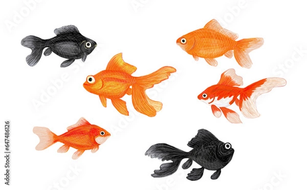 Obraz 金魚のイラスト