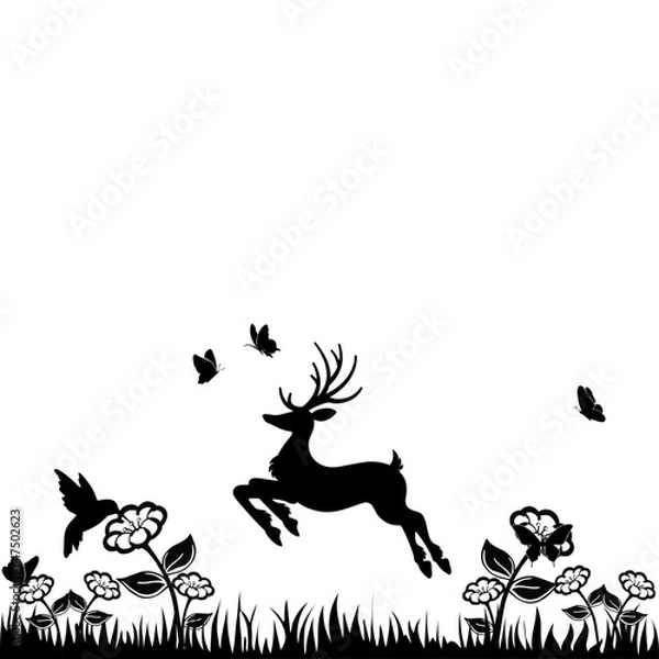 Fototapeta deer in the summer forest