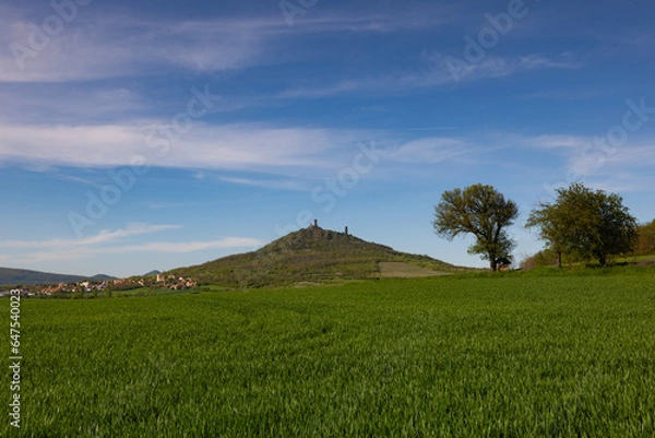 Fototapeta A never conquered Hazmburk castle in Central Bohemian Uplands.Klapý, Ústí nad Labem Region, Czechia