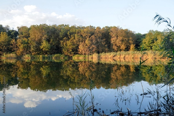 Fototapeta landscape. clouds are reflected in the river