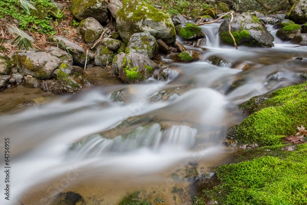 Fototapeta 真瀬渓谷