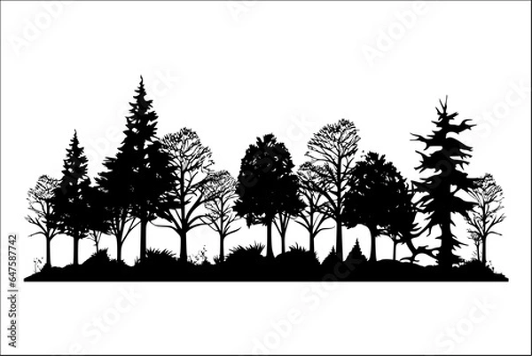 Fototapeta silhouette of shady trees and grass