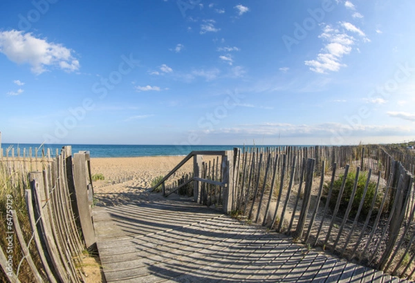 Fototapeta la camargue