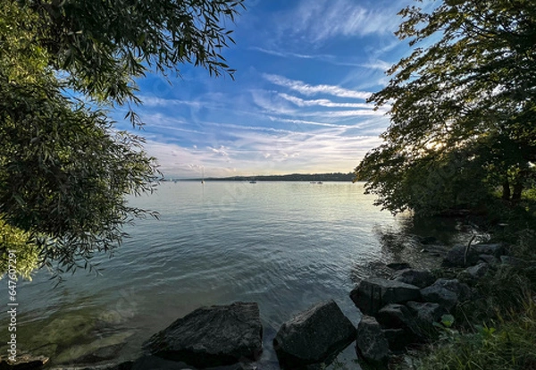Fototapeta The view before sunset on the shore of the lake.