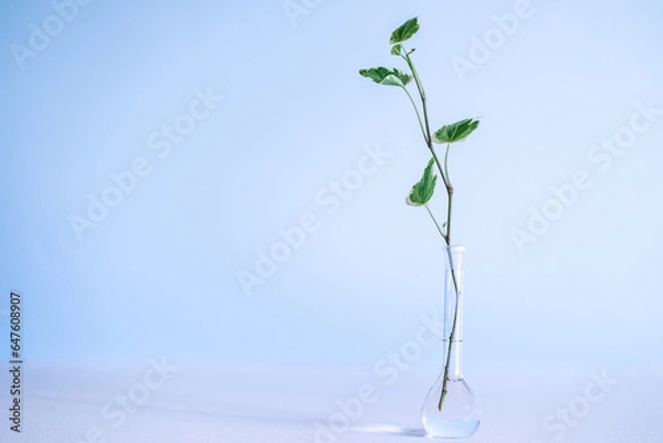 Obraz 素材　緑の一輪挿し