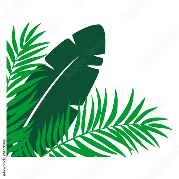 Obraz Palm Leaf Corner