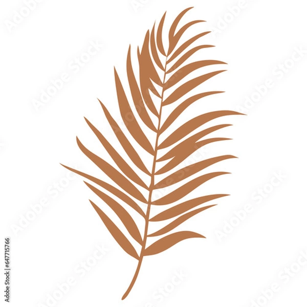 Obraz Retro Palm Leaves