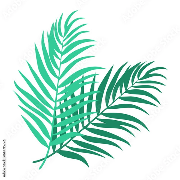 Obraz Retro Palm Leaves