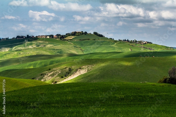 Fototapeta Colli toscani