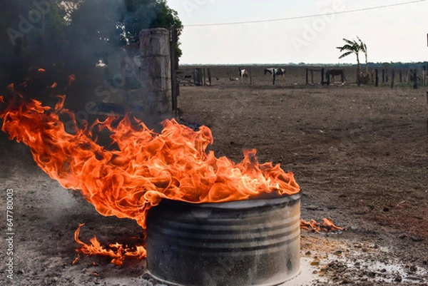 Obraz Fire in the Drum