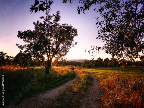 Fototapeta sunset in the countryside