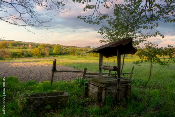 Fototapeta well in forest