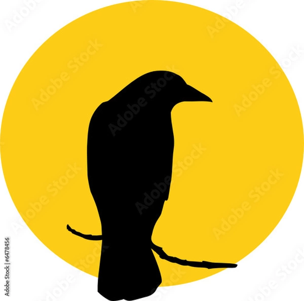 Obraz Raven and Sun