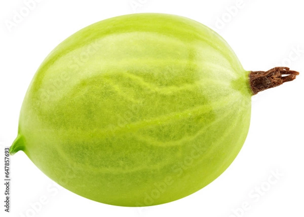 Fototapeta Gooseberry isolated on white background, full depth of field