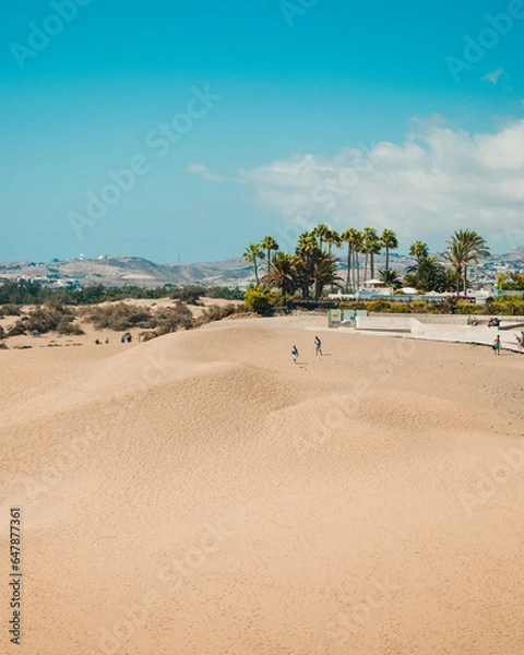 Obraz sand dune beach with palm trees