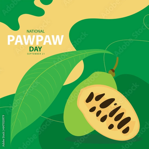 Fototapeta National Pawpaw Day on september 21, with vector illustration whole and slice pawpaw and text isolated on abstract background for commemorate and celebrate National Pawpaw Day. Suitable for any design