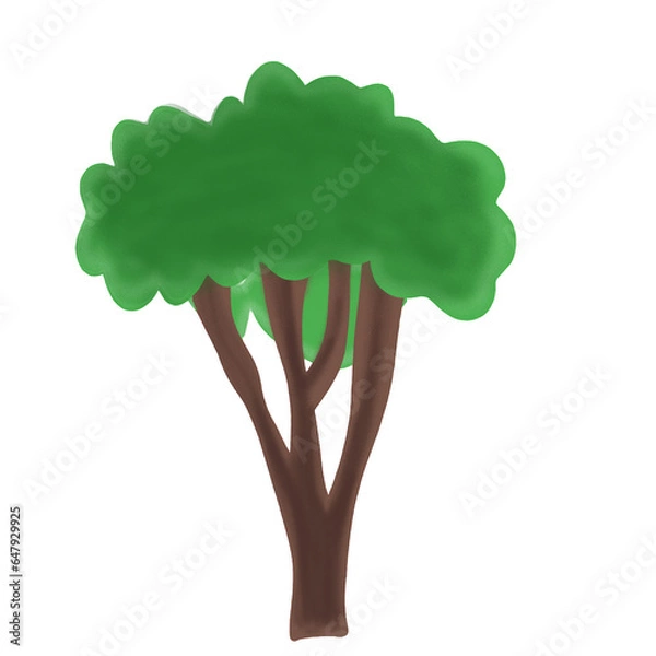 Obraz green tree isolated on white