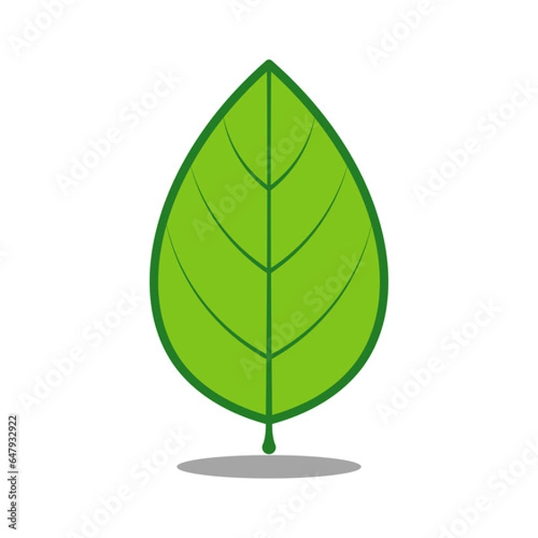 Obraz Cute Leaf Cartoon Vector Illustration