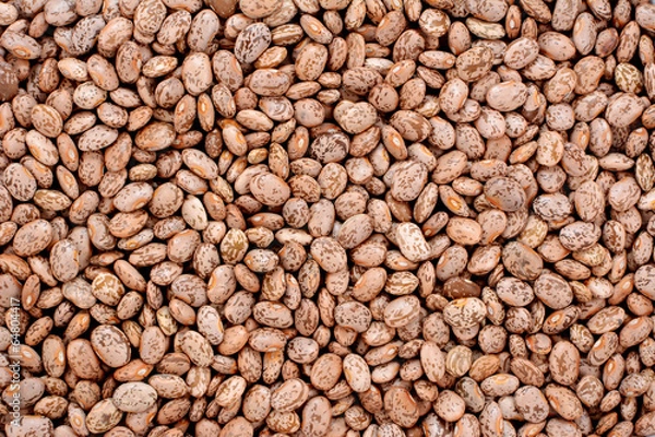 Obraz Pinto beans background