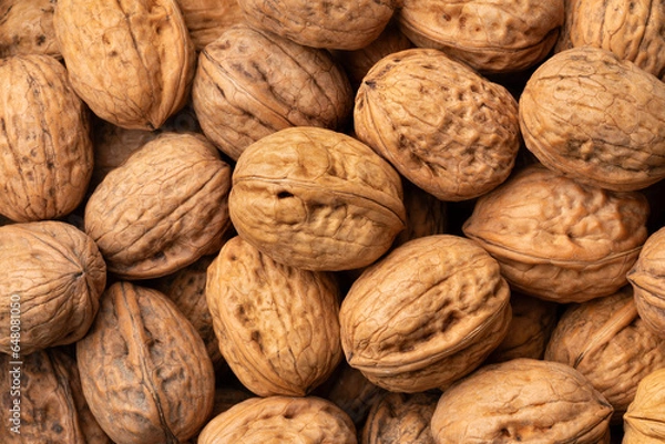 Obraz Fresh walnuts in the shell full frame close up as background