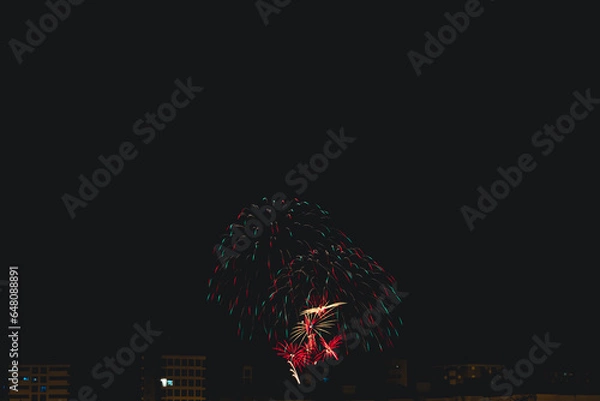 Obraz rockets in the summer night