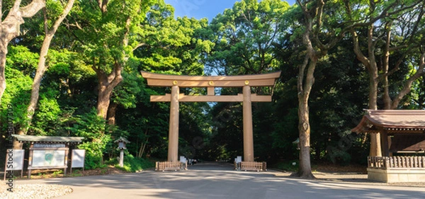 Obraz 明治神宮 第一鳥居