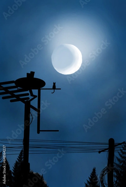 Fototapeta Cat looks at the moon 