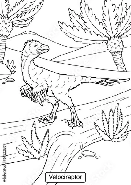 Obraz Velociraptor Dinosaur line art for coloring page vector illustration
